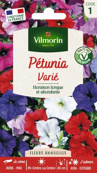 Fleurs - Pétunia Varié - PACKAGING_RECTO